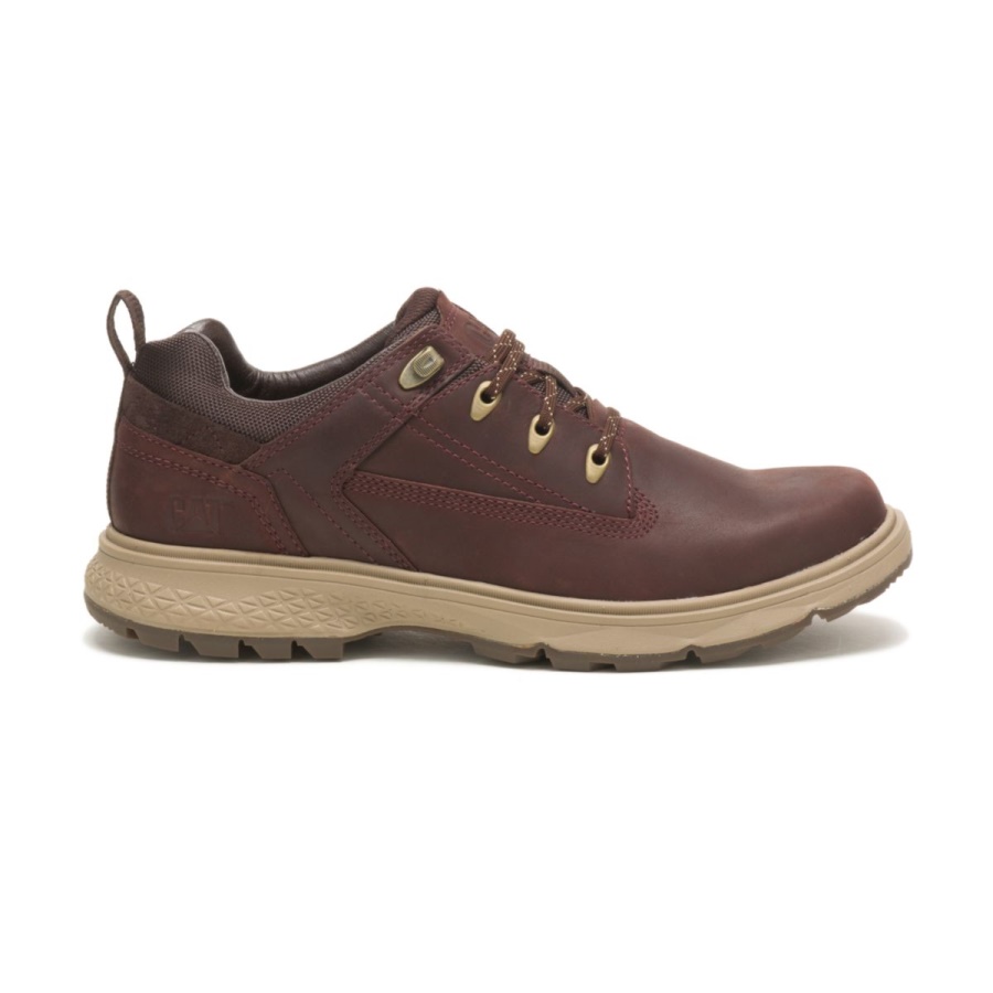 Brown Stone Caterpillar Outrider Lo
