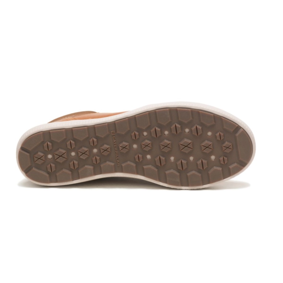 Caterpillar Algorithm CODE Proxy Lace