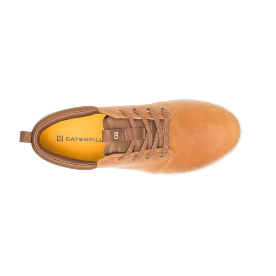 Caterpillar Algorithm CODE Proxy Lace