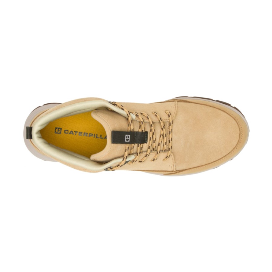 Curry Caterpillar CODE Quest Mid
