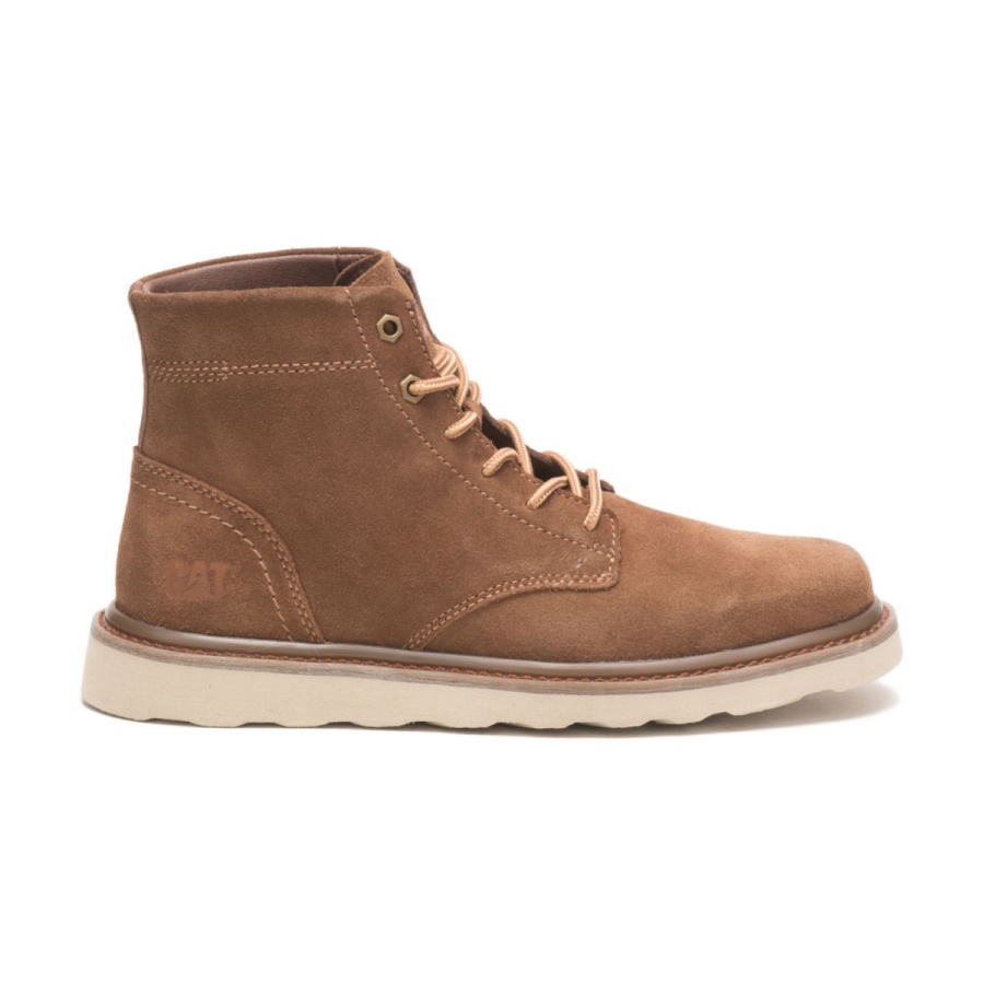 Dachshund Caterpillar Narrate Boot