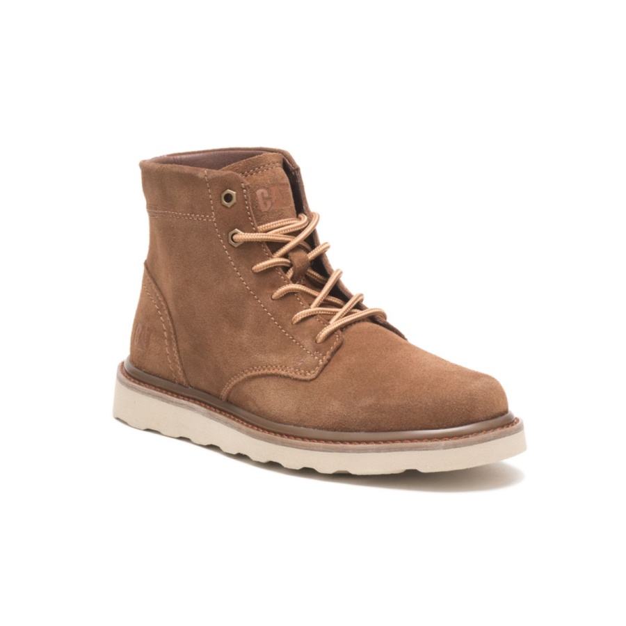 Dachshund Caterpillar Narrate Boot
