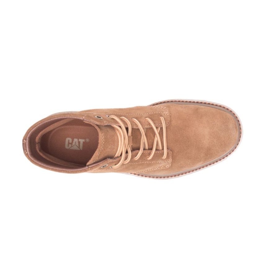 Dachshund Caterpillar Narrate Boot